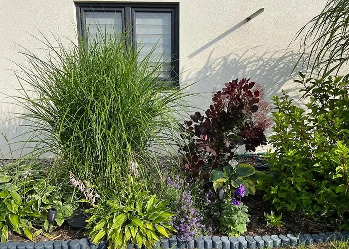 Nadmorski Zakatek 2 *